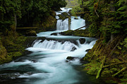 Aqualicious Photograph by Andrew Kumler