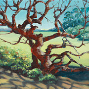 Arana Gulch Oak, 2019 Painting by PJ Kirk