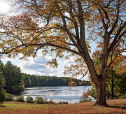 Arcadia in the Fall Photograph by Kirkodd Photography Of New England