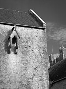 Architectural Detail Holy Trinity Abbey County Limerick Ireland Photograph by Mary Lee Dereske