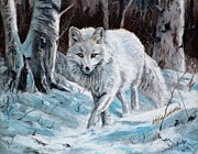 Arctic Fox Pastel by Daniel Eskridge