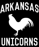 Arkansas Unicorns Digital Art by Flippin Sweet Gear