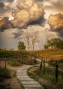 As If It Was Painted Photograph by Nate Brack
