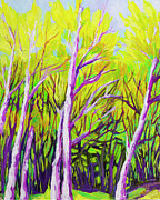 Aspen Trees in Colorado Digital Art by Patricia Awapara