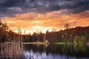 At the end of the small forest lake Photograph by Dejan Travica