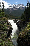 Athasbasca Falls  Photograph by Mary Gaines