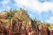 Atop the Canyon Wall Photograph by Robert Carter