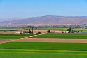 August in Soledad, CA Photograph by Derek Dean