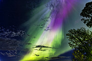 Aurora in Michigan Bright beam Photograph by Joe Holley