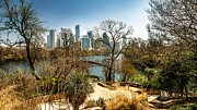Austin, Texas Skyline from Zilker Park - Urban and Nature Fusion Photograph by Brigitte Blanchette Thompson Austin, Texas Skyline from Zilker Park - Urban and Nature Fusion Photograph by Brigitte Blanchette Thompson
