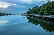 Austin's Boardwalk at Dusk  A Peaceful Retreat Photograph by Brigitte Blanchette Thompson