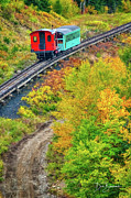 Autumn Along The Cog #3238 Photograph by Dan Beauvais