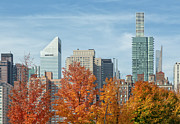 Autumn and Skyscrapers Photograph by Cate Franklyn
