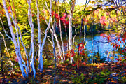 Autumn aspen trees by the lake - Painterly Mixed Media by Tatiana Travelways Autumn aspen trees by the lake - Painterly Mixed Media by Tatiana Travelways