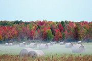 Autumn Bales Photograph by Brook Burling