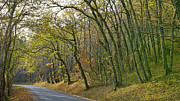  Autumn colors Photograph by Karine GADRE
