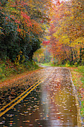 Autumn Drive II Photograph by Debra and Dave Vanderlaan