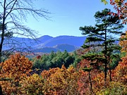 Autumn Farewell Photograph by Allen Nice-Webb