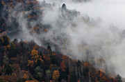 Autumn Fog On The Smoky Mountains Photograph by Dan Sproul