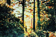 Autumn Forest Watercolor Mixed Media by Shelli Fitzpatrick Autumn Forest Watercolor Mixed Media by Shelli Fitzpatrick