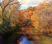 Autumn  Glory Photograph by David Neace CPX
