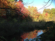 Autumn in Salem Photograph by Roxy Rich Autumn in Salem Photograph by Roxy Rich