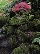 Autumn in the Scottish Gardens  Photograph by Charlene Mitchell