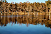 Fall Reflections at Inks Lake State Park Photograph by Brigitte Blanchette Thompson Fall Reflections at Inks Lake State Park Photograph by Brigitte Blanchette Thompson