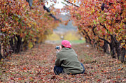 Autumn in the Vineyard Photograph by Dubi Roman