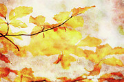 Autumn Leaves Abstract Mixed Media by Shelli Fitzpatrick Autumn Leaves Abstract Mixed Media by Shelli Fitzpatrick