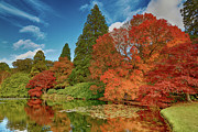 Autumn Leaves Photograph by John Gilham
