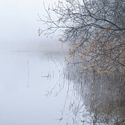 Autumn Mists Loch Ard Photograph by Janet Burdon