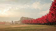 Autumn on Art Hill Photograph by Scott Rackers