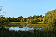 Autumn on Bavelaw Marsh Photograph by Yvonne Johnstone