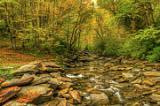 Autumn on Laurel Creek Photograph by Kenneth Everett Autumn on Laurel Creek Photograph by Kenneth Everett