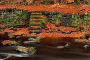 Autumn On The Riverbanks Photograph by Tom Holmes Photography