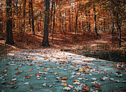 Autumn Pathway In Lima Ohio Photograph by Dan Sproul Autumn Pathway In Lima Ohio Photograph by Dan Sproul