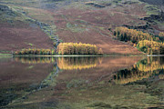 Autumn Reflections, Butteremere, Lake District, England, Uk Photograph by Sarah Howard