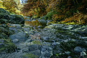 Autumn River Rocks Photograph by Bill Posner