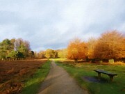 Autumn Seat Photograph by Call Me Abbie - Abbie Shores