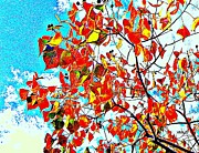 Autumn  So  Stylish Photograph by Viva Anderson