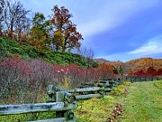 Autumn Still Photograph by Allen Nice-Webb Autumn Still Photograph by Allen Nice-Webb