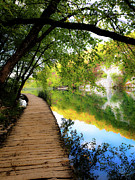 Autumn Stroll Photograph by Andrea Whitaker Autumn Stroll Photograph by Andrea Whitaker