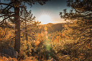 Autumn Vibes Photograph by Ryan Weddle