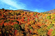 Autumn View Photograph by Allen Nice-Webb Autumn View Photograph by Allen Nice-Webb
