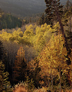 Autumns Last Light Near Zion National Park Photograph by Dave Diegelman Autumns Last Light Near Zion National Park Photograph by Dave Diegelman