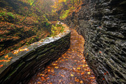 Autumn's Path Photograph by Darren White
