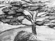 Away From The Noise Drawing by Lisa White