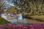 Azalea Alley on the Grounds of Middleton Place Photograph by Dale Powell Azalea Alley on the Grounds of Middleton Place Photograph by Dale Powell