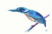 Azure Kingfisher Painting by Zaira Dzhaubaeva